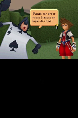 Kingdom Hearts Re Coded